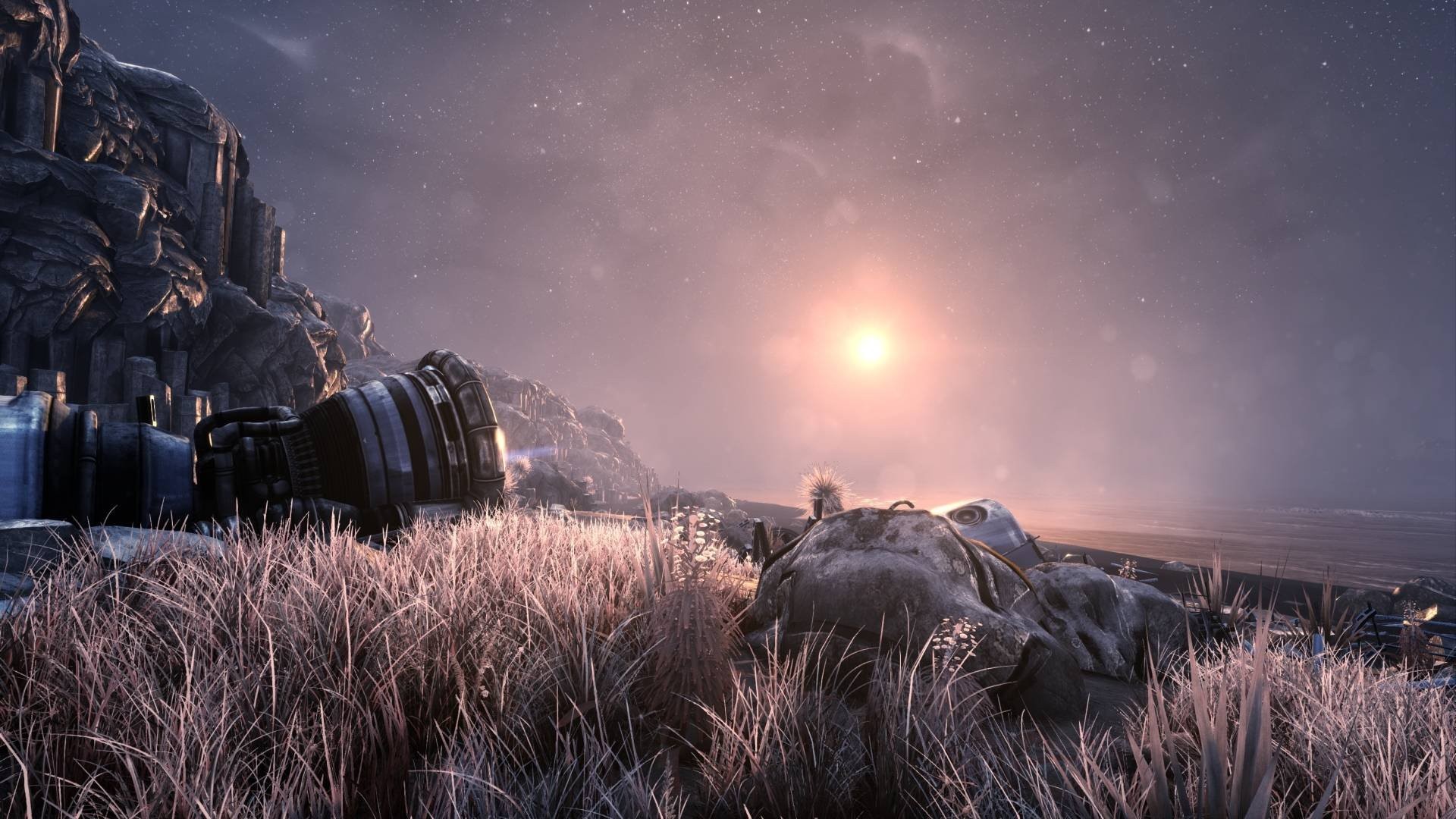 The Solus Project